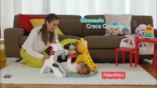 Cebra Andadera de Aprendizaje y Gimnasio Crece Conmigo de FisherPrice 2016 [upl. by Loutitia379]