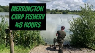 MERRINGTON CARP FISHERY  MAIN LAKE  SUMMER CARP FISHING  SHROPSHIRE [upl. by Zollie]