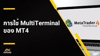 วิธีการใช้ MultiTerminal ของ MT4 [upl. by Zetnas]