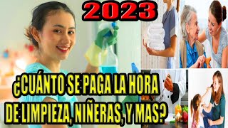 👉 CUANTO SE PAGA LA HORA de empleada domestica 2023 niñera cuidado de personas cocineros [upl. by Xanthus]