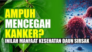 Ampuh Mencegah Kanker Inilah Deretan Manfaat Kesehatan Daun Sirsak yang Dipercaya Turun Temurun [upl. by Suzette]