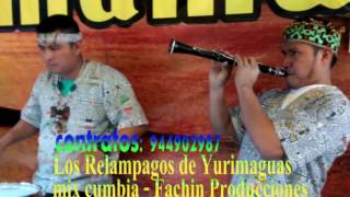 MUSICA TIPICA CON Los Relampagos de Yurimaguas  El shipibo Local Yacumama [upl. by Nnaillij]