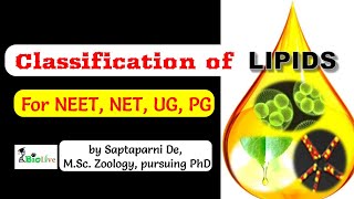 Classification of Lipids [upl. by Dlarej]