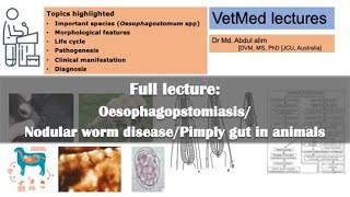 Nodular worm disease Cause morphology life cycle pathogenesis symptoms amp diagnosis  English [upl. by Eibot]