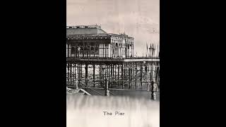 St Leonards Pier swimmers come alive [upl. by Nnylharas749]