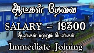 💥 ஆட்கள் தேவைசம்பளம்  19300RoomFoodChennai Job Vacancy 2024 TamilChennai Jobs Today Openings [upl. by Nadine]