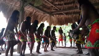 Embera Dance Wind and Waves [upl. by Saltsman517]