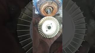 Crompton 1 HP motor impeller chain short video [upl. by Eelrebma]