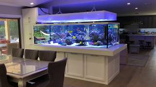 675 gallon Rainbow Reef tour [upl. by Jarietta]