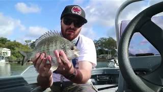 BREAM ON SOFT PLASTICS  ECOGEAR BREAM PRAWNS [upl. by Nima817]