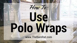 How To Polo Wrap Your Horses Legs [upl. by Joung]