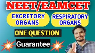 Excretory organs of different animals tricksRespiratory of different animals tricks [upl. by Kalvn729]