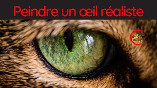 Peindre un œil de tigre réaliste [upl. by Celinda]