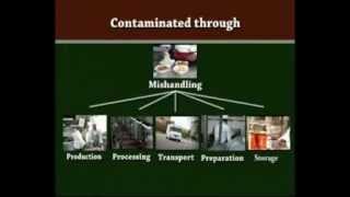 Food Contamination and Safety  English [upl. by Niledam]