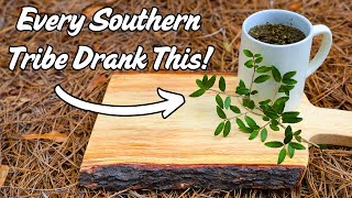 Native Southern Tribes Discovered This Ancient Caffeinated Drink [upl. by Larianna]