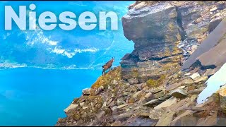 Niesen Swiss Pyramid Swiss Alps Switzerland  Walking Tour 4K HDR Dolby Vision [upl. by Elleryt]