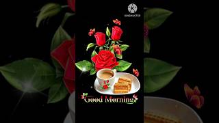 GOOD MORNING video [upl. by Ecnarretal]