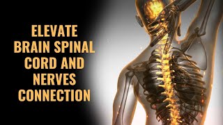 Spinal Cord Stimulator  Elevate Brain Spinal Cord and Nerves Connection  432Hz Isochronic Tones [upl. by Caresa999]