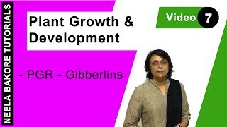 Plant Growth amp Development  NEET  PGR  Gibberlins  Neela Bakore Tutorials [upl. by Stricklan]