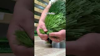 artificialturf turfgrass turfgrassmanagement syntheticgrass diy artificialgrassexperts [upl. by Moritz]