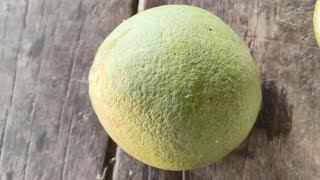 Pomelo fruitpeel fruit asmr slice cut satisfying pomelo [upl. by Ahsiled]