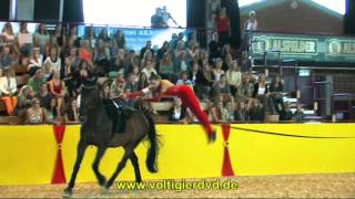 Ulrike Posselt  SAC  DVM Alsfeld 2015  Female  33 [upl. by Suirtemid]