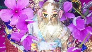 Ladugopal Sam ki arti [upl. by Brianne]