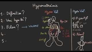 Hyponatrémie en 5 étapes  Docteur Synapse [upl. by Rollin868]