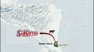 ¿Does SUKARNE know the origin of the beef it is buying in Nicaragua [upl. by Zirtaeb]