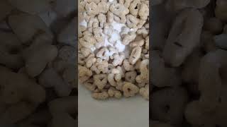 timelapse of ants eating lucky charms 😋 [upl. by Yale]