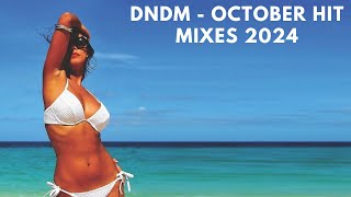 DNDM  October Hit Mixes 2024 [upl. by Schild]