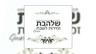 ידיד נפש 2 l גלעד פוטולסקי ותזמורת שלהבת  Shalhevet Orchestra  Yedid Nefesh [upl. by Leaffar]