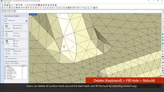 Moldex3D Designer BLM Surface Mesh Fixing [upl. by Ronoh]