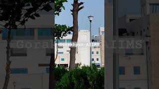 Gorakhpur AIIMS aiimsgorakhpur gorakhpur up53 [upl. by Brian112]