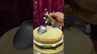 Vanilla cake recipe shorts video [upl. by Marabel]