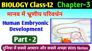 biology class 12 chapter 3  manav janan class 12th  embryonic development  human reproduction [upl. by Kuebbing]