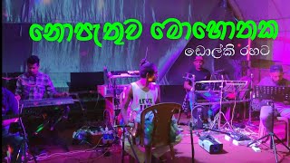 Nopathuwa mohothaka new song  milinda sandaruwan cover  Surangana jayalath Radhaa live band [upl. by Brendis]