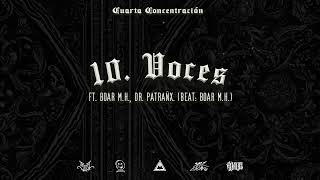 Voces  Cuarta Concentración Ft Dr Patrañx Boar MH Visualizer [upl. by Nacim]