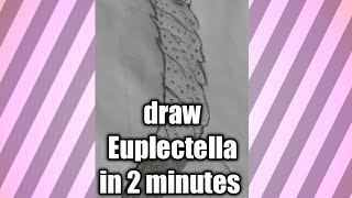 How to draw Euplectella in Hindi bio trick class 10th and 12th यूप्लेक्टेला phylum porifera [upl. by Feeney]