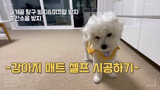 강아지 슬개골 미끄럼방지 매트 셀프 시공  층간소음 매트  천일카페트 강아지매트 [upl. by Reifnnej]