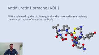 Introduction new system Water balance and Homeostasis dr mohamed fayez [upl. by Mcevoy]