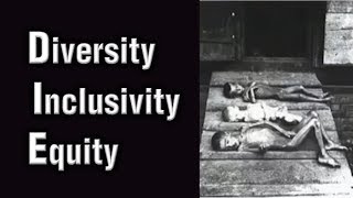 Jordan Peterson  Diversity Inclusivity amp Equity [upl. by Yeldud]