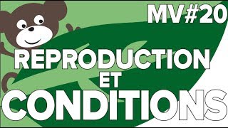 Reproduction et Conditions du Milieu MV 20SVT CollègeMathrix [upl. by Thebazile439]