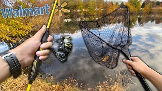 CHEAP AND EASY Carp Fishing  How to Catch CARP [upl. by Evans821]