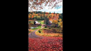 September Secrets in the garden fairyhouse pumpkinseason pumpkin pumpkinhouse inthegarden fall [upl. by Philipines]