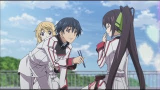 Infinite Stratos Ichika Feeding Indirect Kiss to Houki and Jealous of Harem English Dub [upl. by Dobb429]