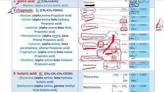 Ptn Chemistry  Book  Lec  1  Amino Acids [upl. by Koral762]