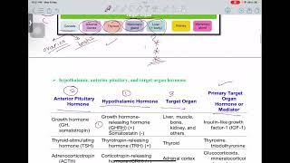 Endo Pharmacology  L1 Hypothalamic  Pituitary Hormones [upl. by Schluter]