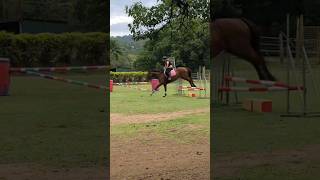 Jump Clinic 60  80cm horse equestrain showjumping eventing fyp viral [upl. by Koosis]