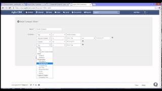 Contact Management  Custom Filters in Agile CRM [upl. by Annoynek]